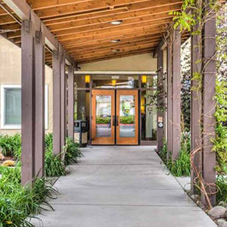 A covered walkway with wooden beams and greenery on both sides leads to double glass doors at the entrance of a building.