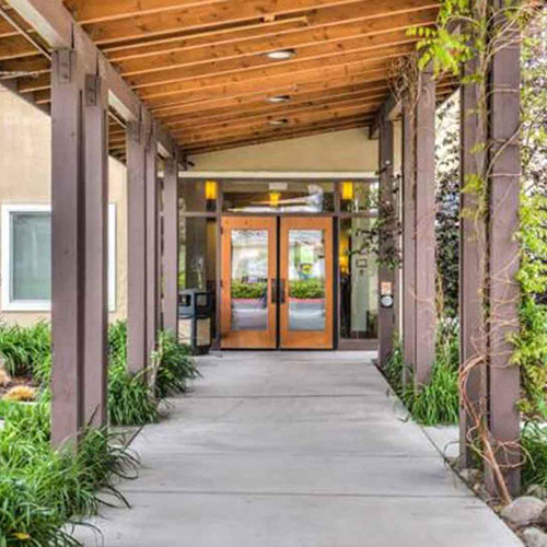Covered walkway with wooden beams and greenery leading to double glass doors at the entrance of a building.
