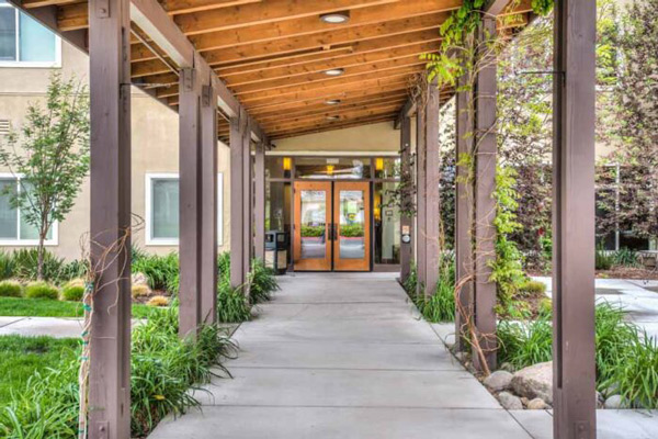Covered walkway with wooden beams and climbing plants leads to glass double doors of a building, surrounded by landscaped greenery and windows.